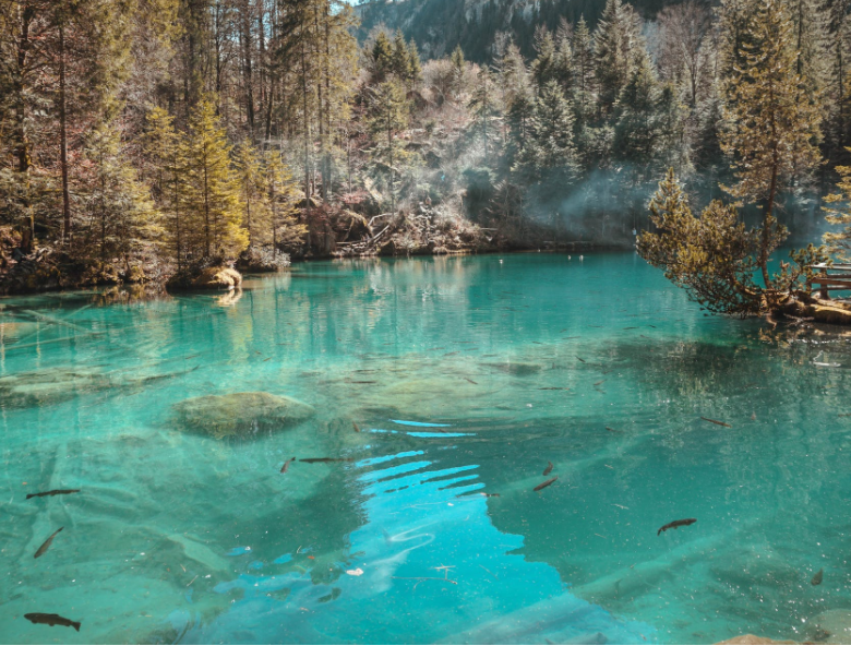 1649297793997643.png 微信截圖_20220401133602.png